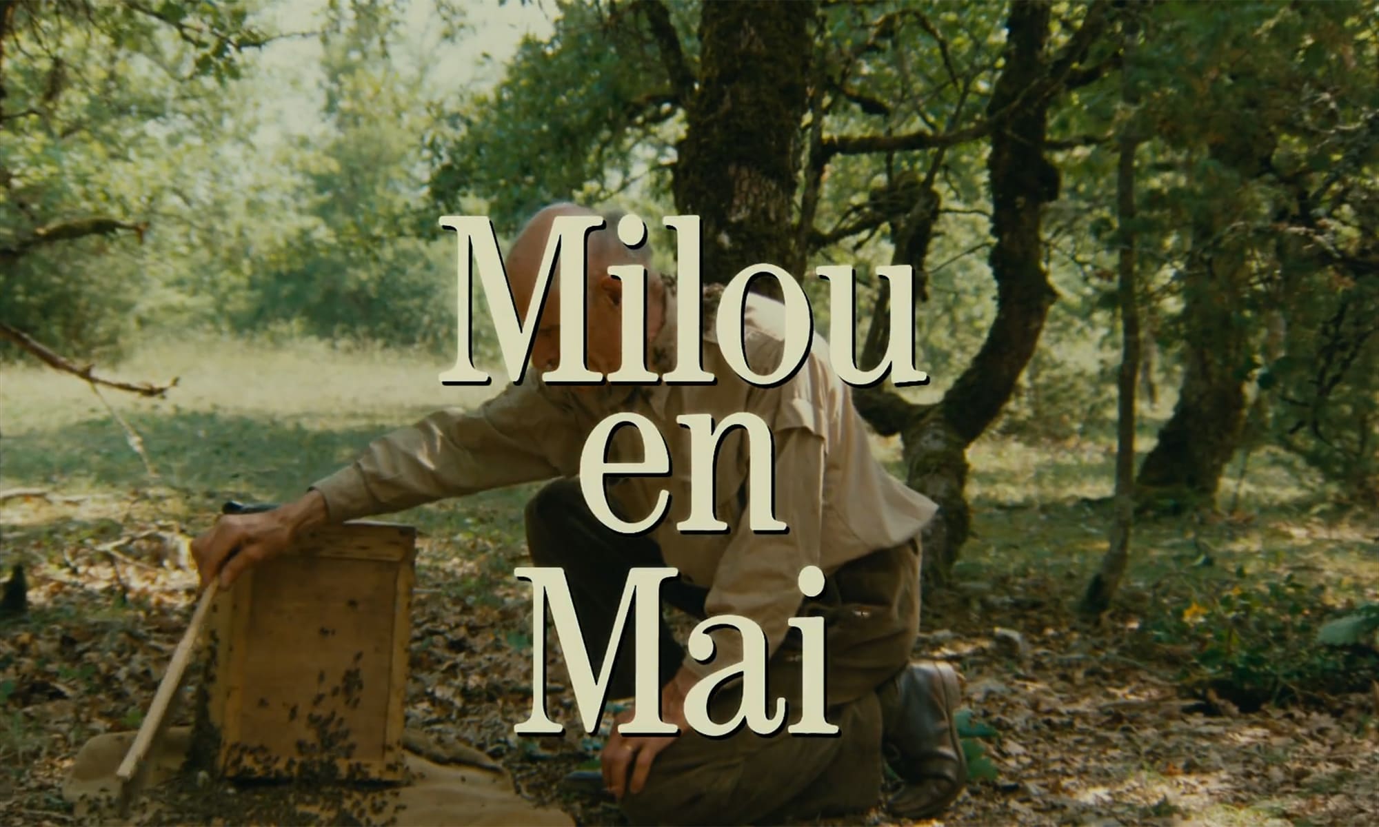 五月のミル Milou en Mai May Fools