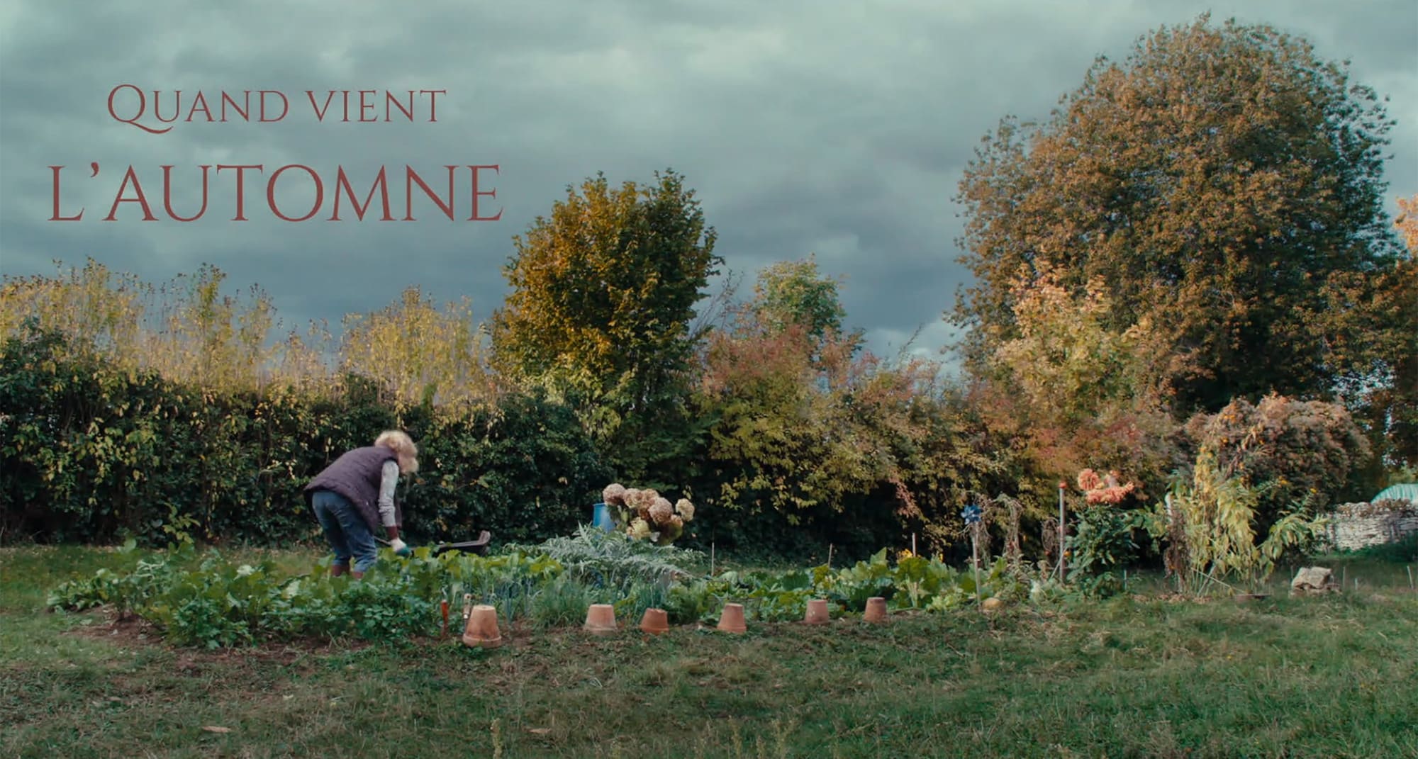 秋が来るとき Quand Vient L’automne When Fall Is Coming