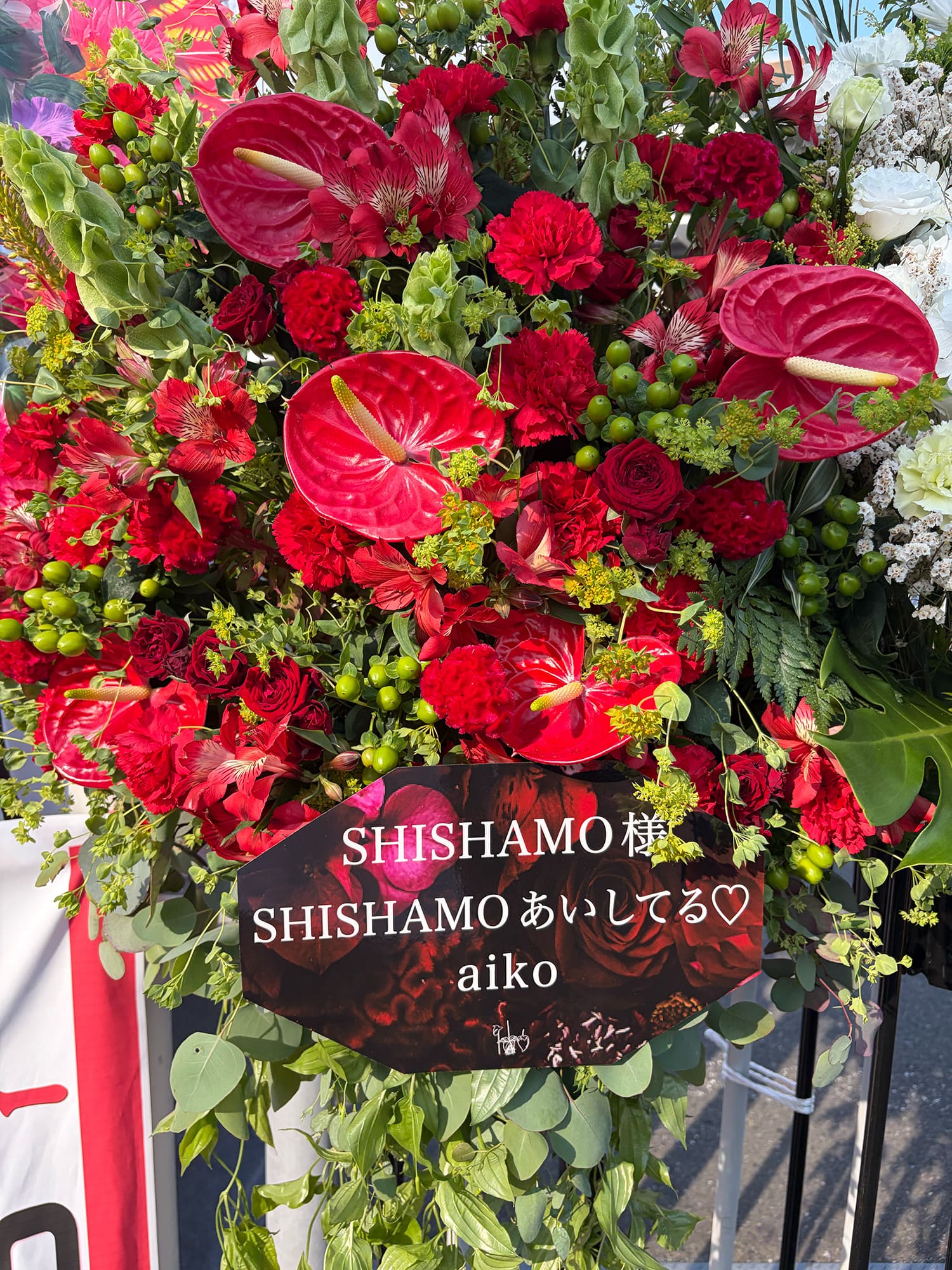 SHISHAMO THE FINAL!!! ～Thanks for everything～ THANKS DAY