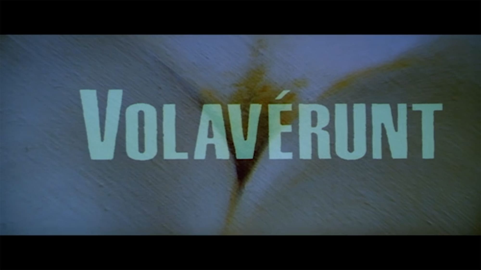 裸のマハ Volavérunt