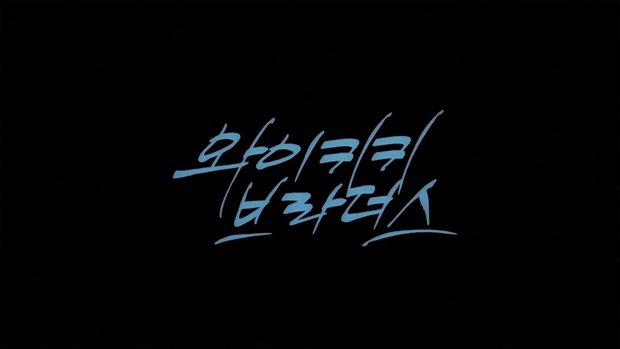 ワイキキ・ブラザース 와이키키 브라더스 Waikiki Brothers