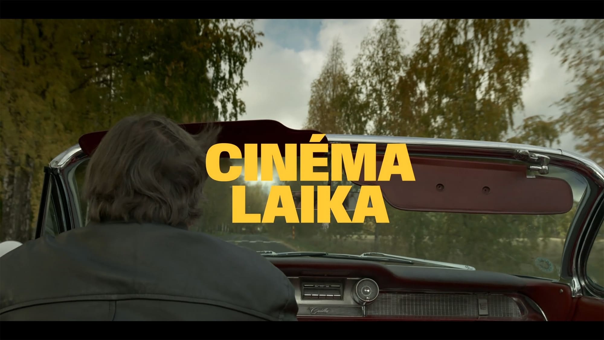 キノ・ライカ 小さな町の映画館 Cinéma Laika