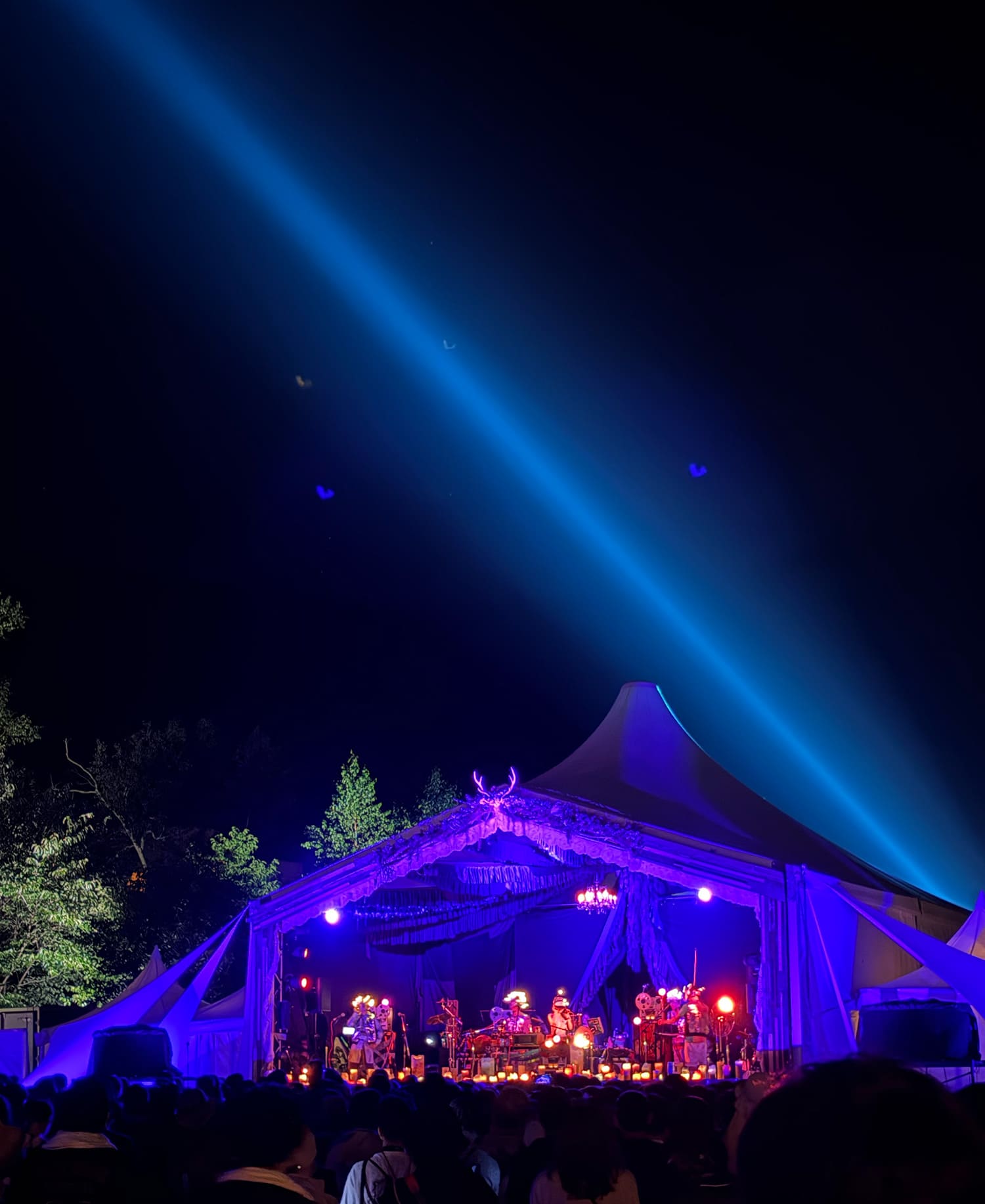 ずっと真夜中でいいのに。 (スパイシーズ状態) Fuji Rock Festival ’26 – PYRAMID GARDEN
