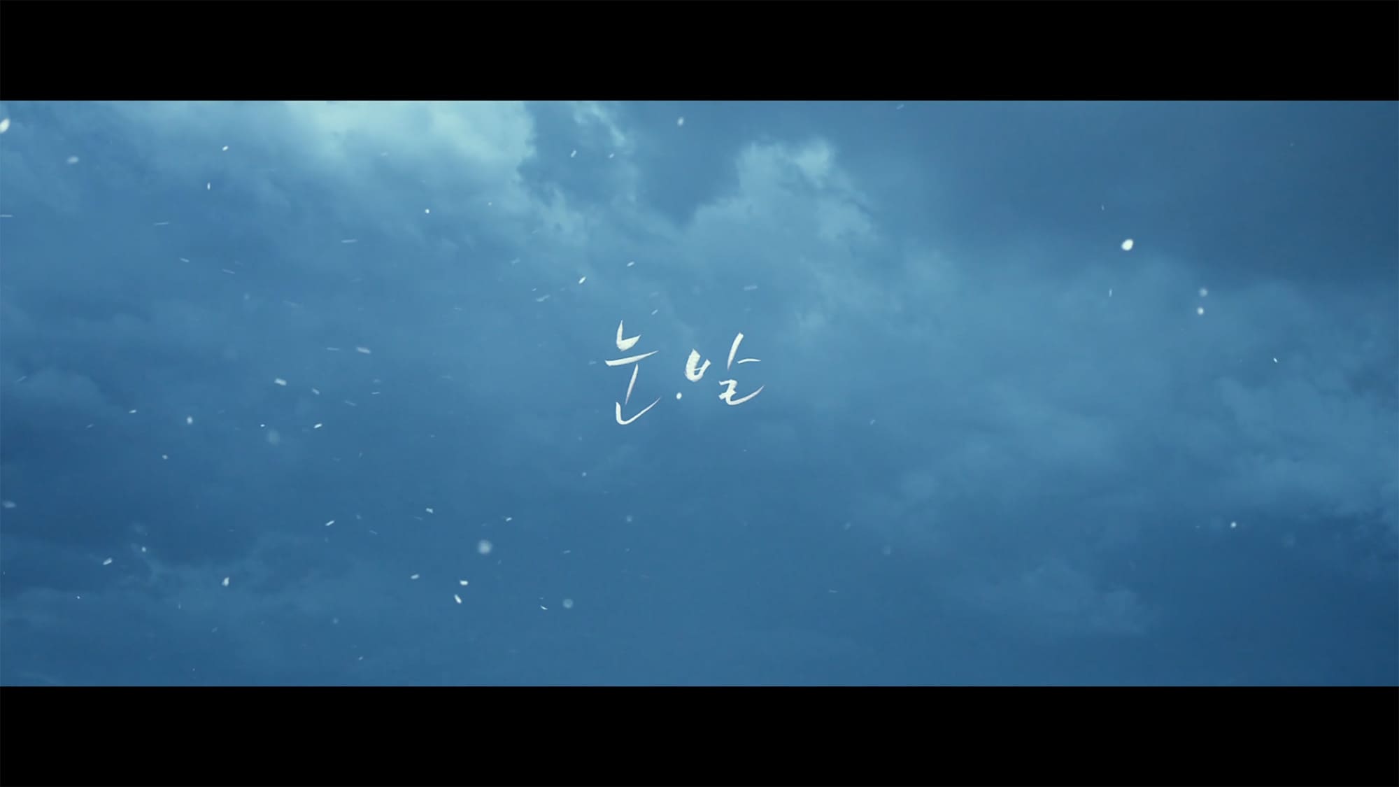 降りしきる雪 눈발 A Stray Goat