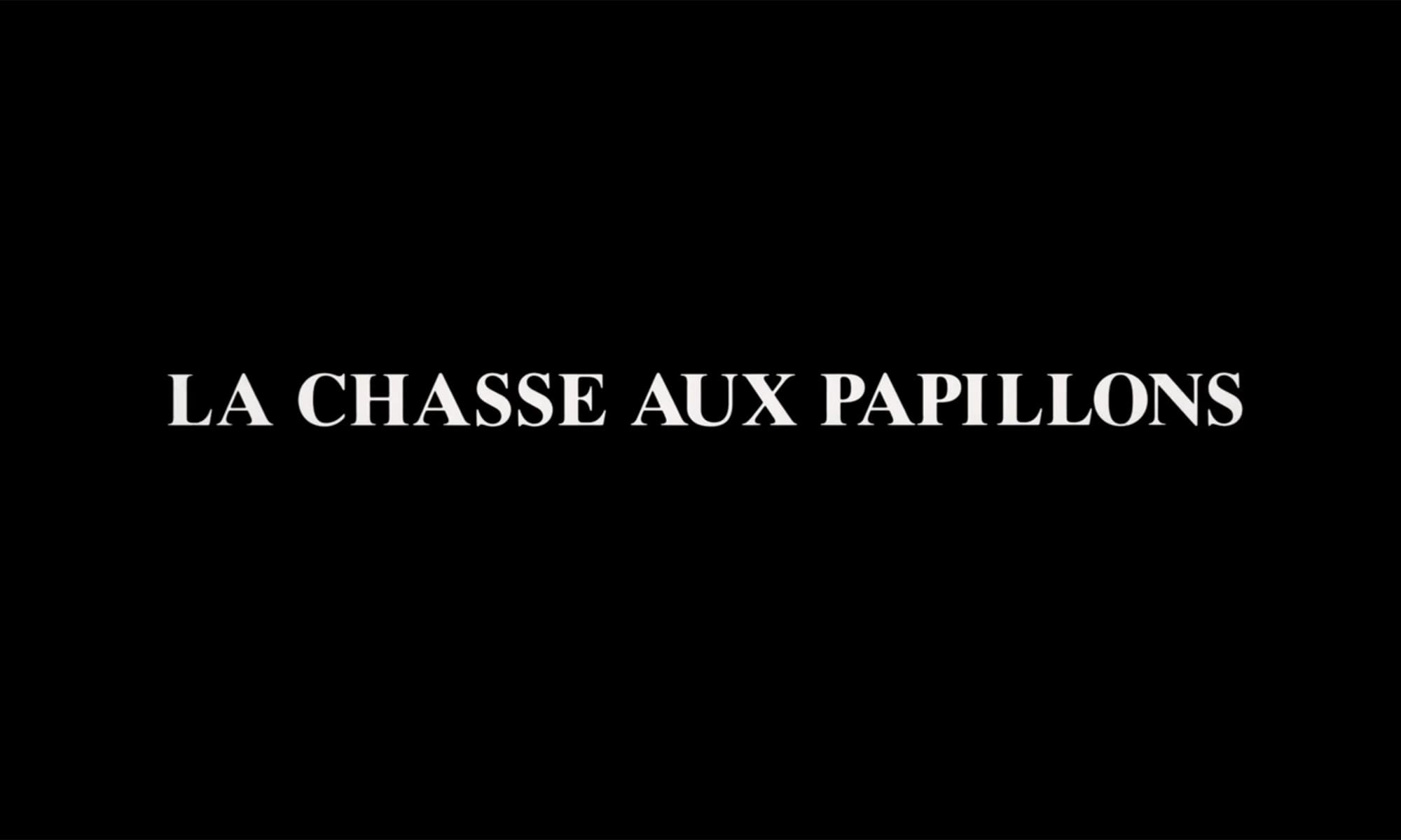 蝶採り La Chasse aux papillons Chasing Butterflies