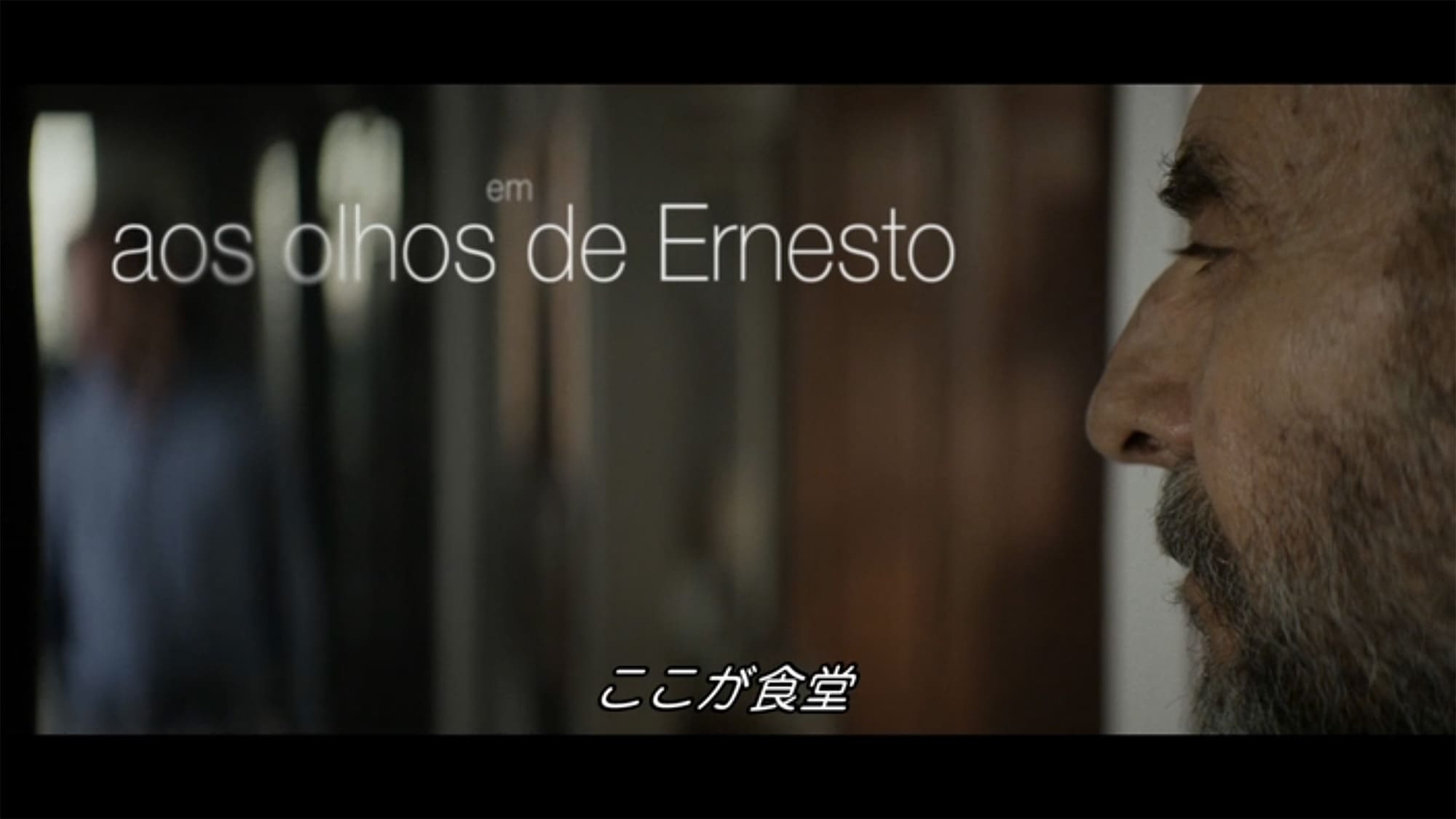 ぶあいそうな手紙 Aos Olhos de Ernesto Through Ernesto’s Eyes