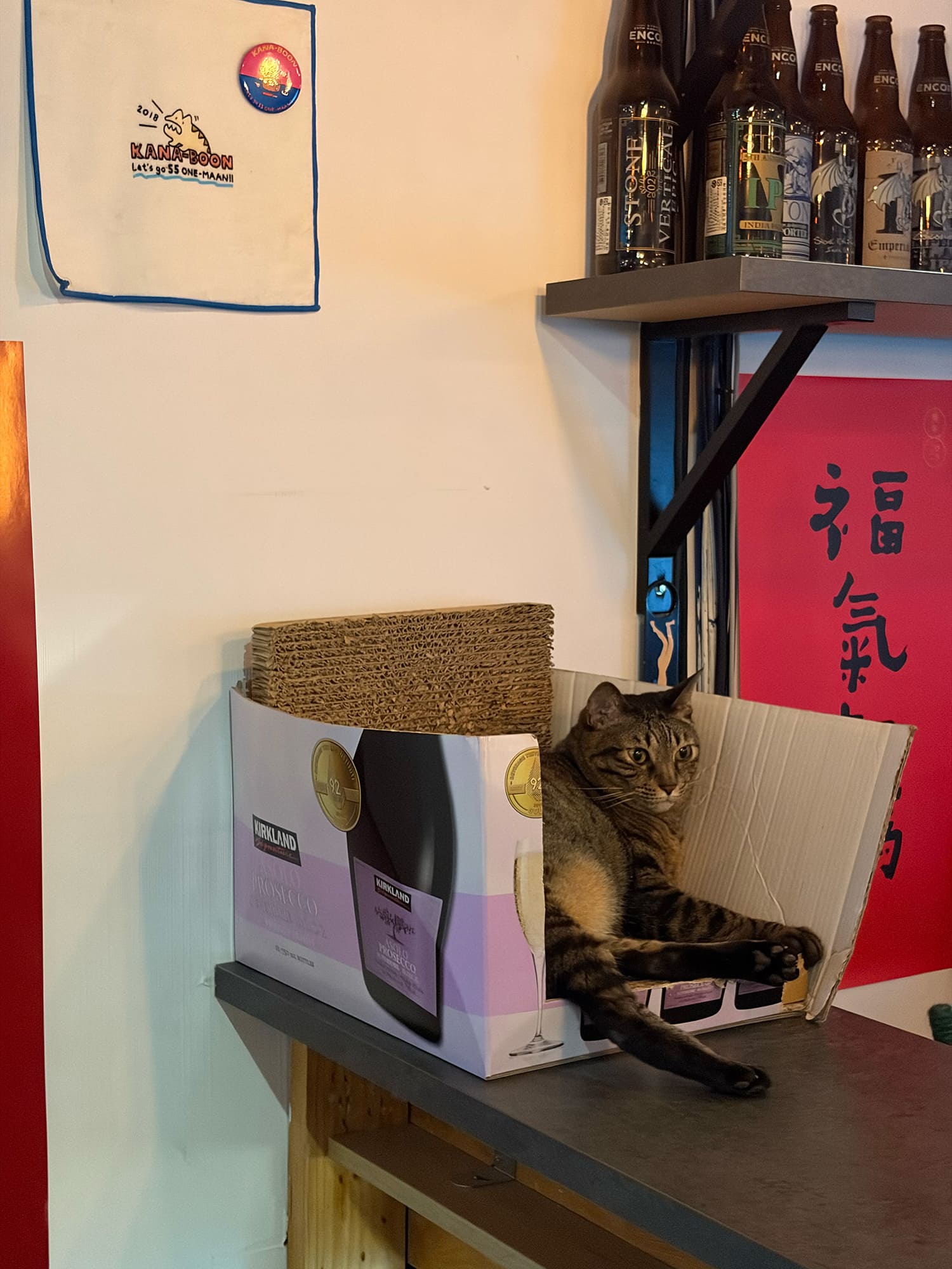 碧耳貓 BeerCat 台北