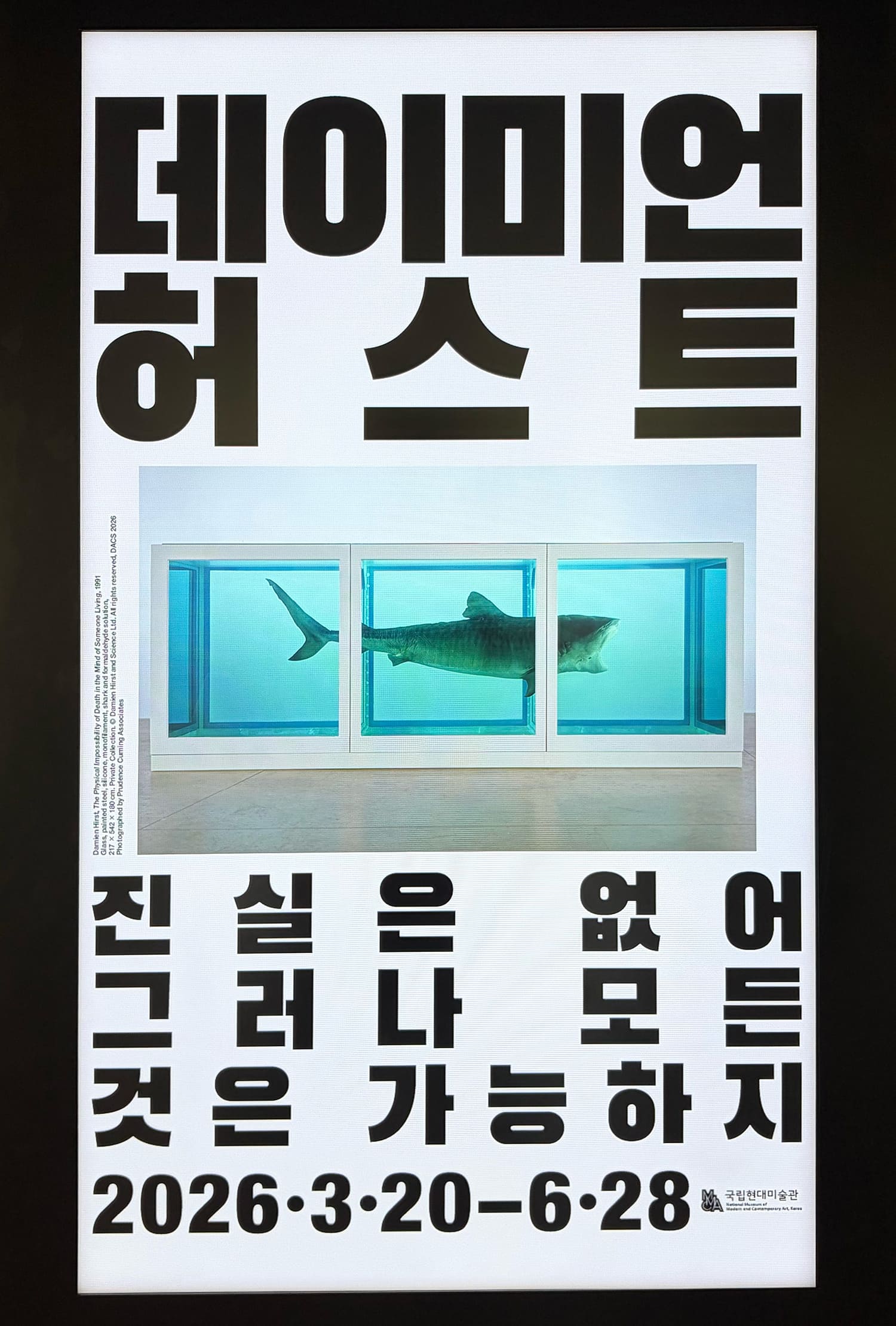 DAMIEN HIRST Nothing Is True But Everything Is Possible 国立現代美術館 ソウル館