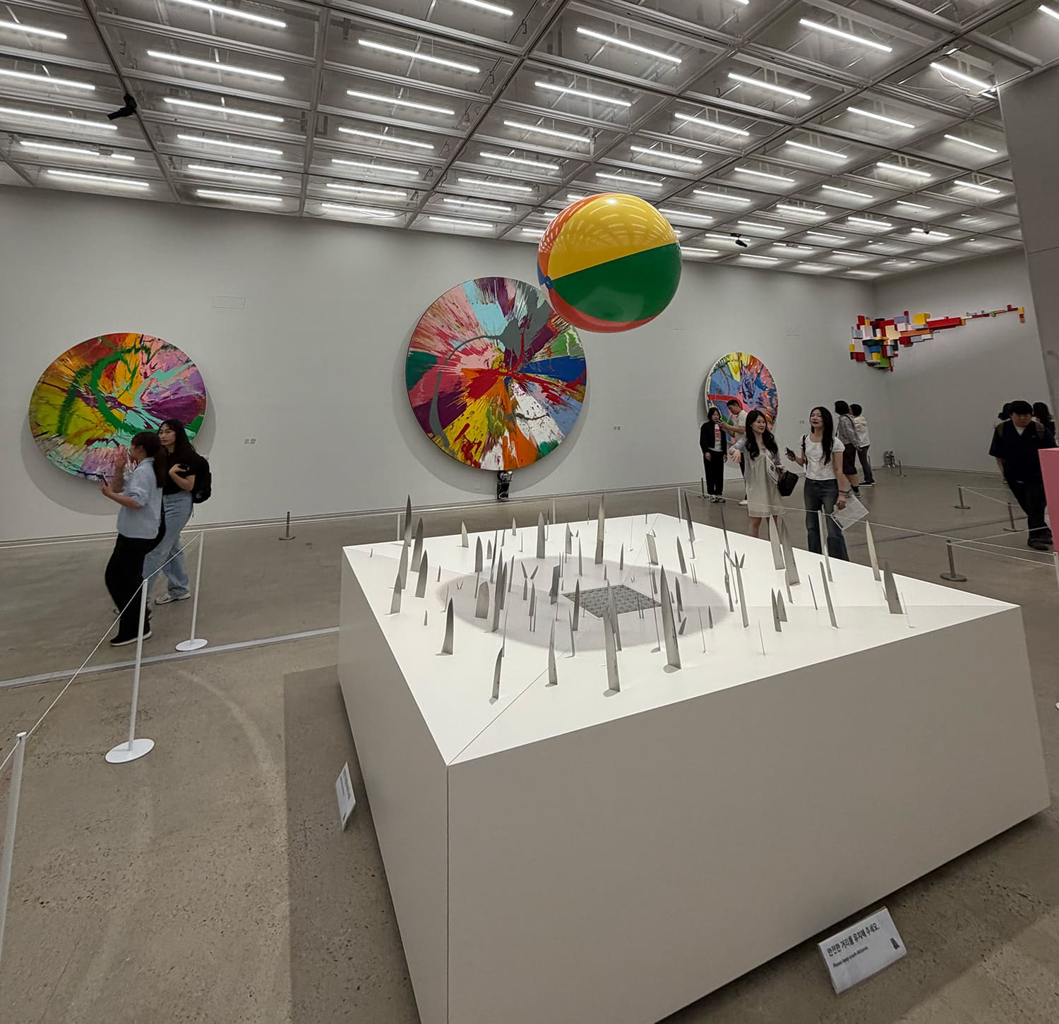 DAMIEN HIRST Nothing Is True But Everything Is Possible 国立現代美術館 ソウル館