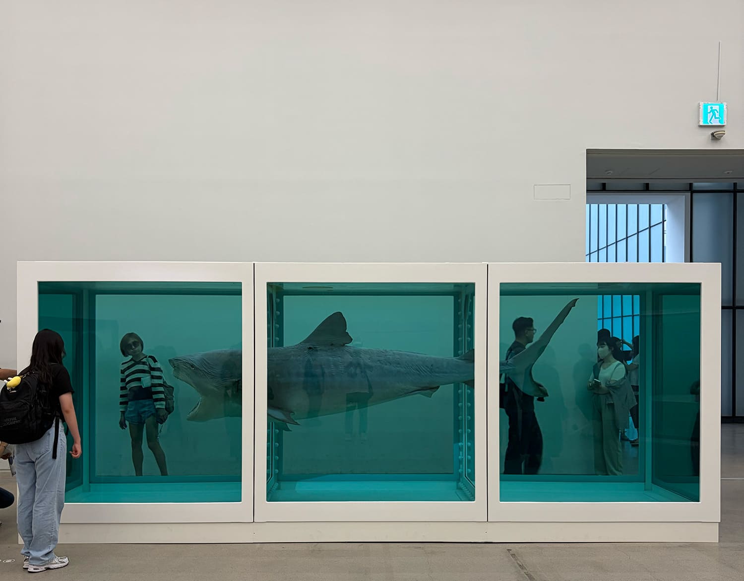DAMIEN HIRST Nothing Is True But Everything Is Possible 国立現代美術館 ソウル館