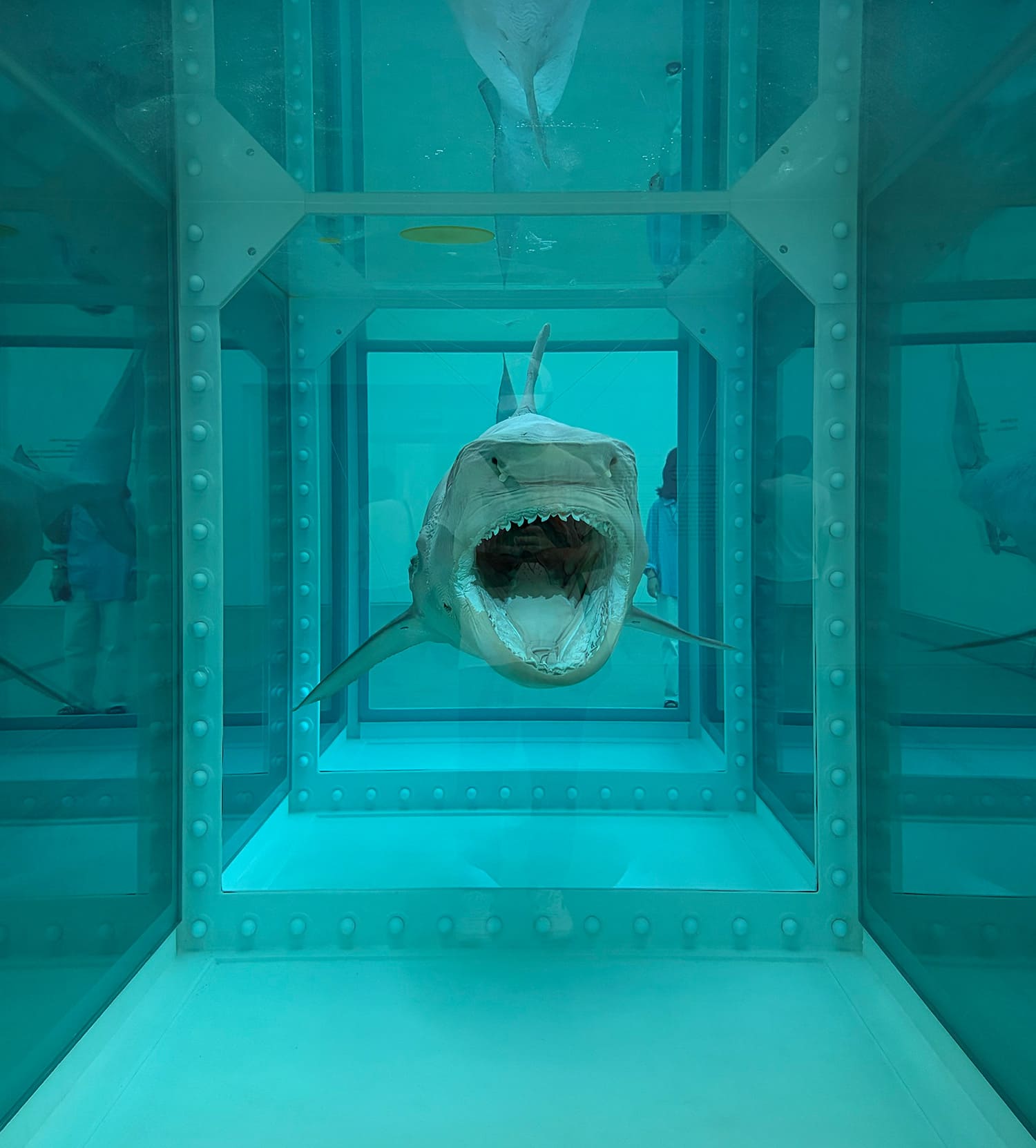 DAMIEN HIRST Nothing Is True But Everything Is Possible 国立現代美術館 ソウル館