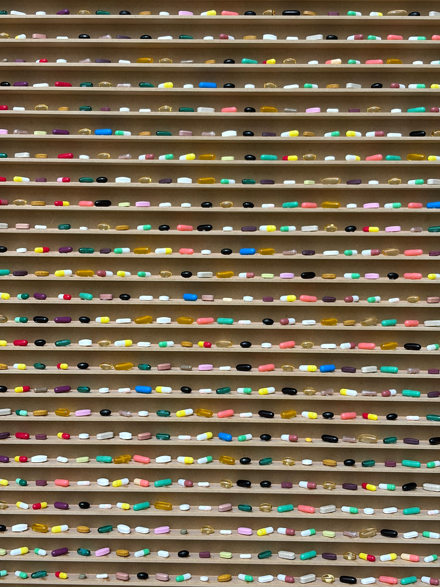 DAMIEN HIRST Nothing Is True But Everything Is Possible 国立現代美術館 ソウル館