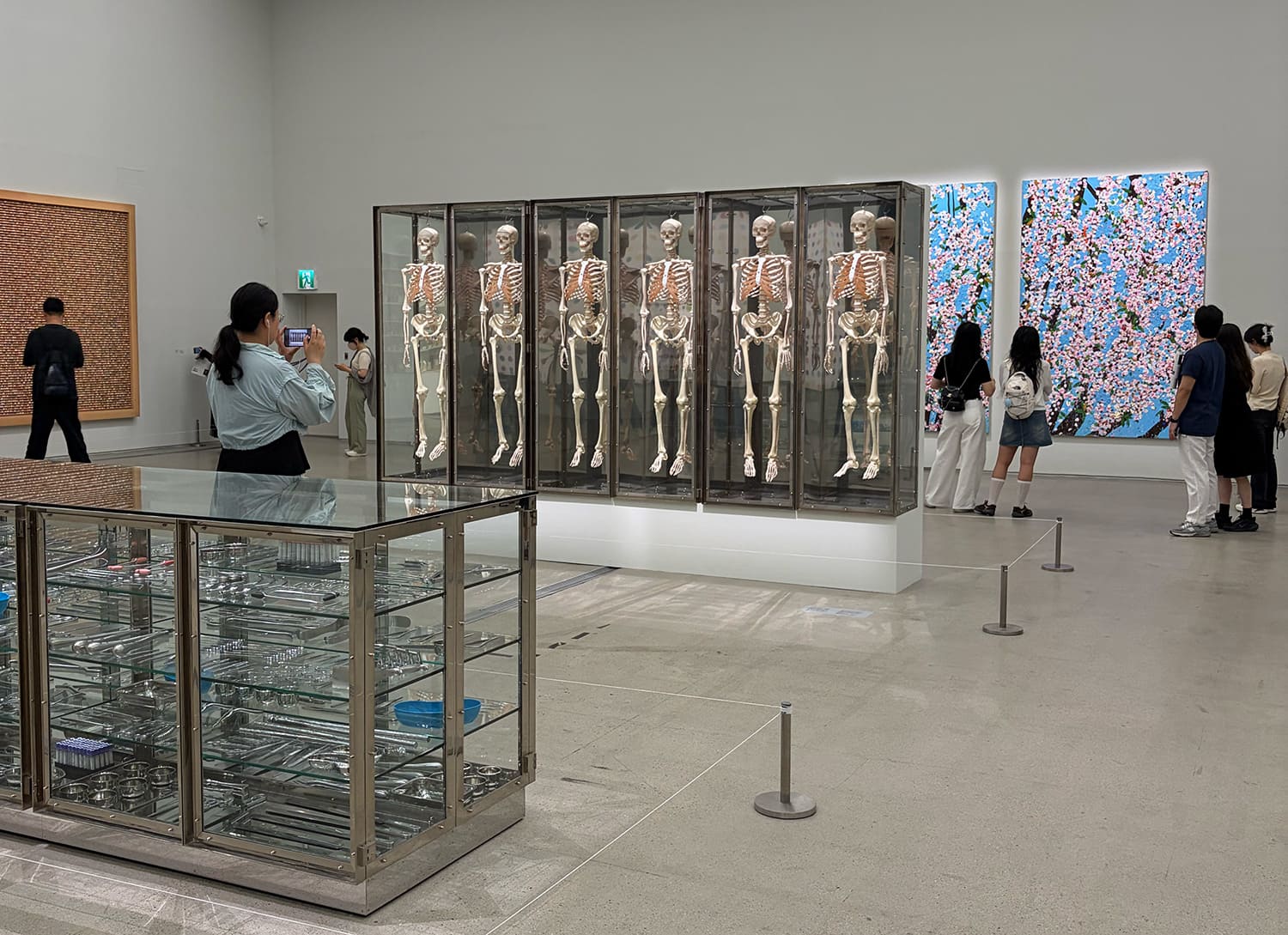 DAMIEN HIRST Nothing Is True But Everything Is Possible 国立現代美術館 ソウル館