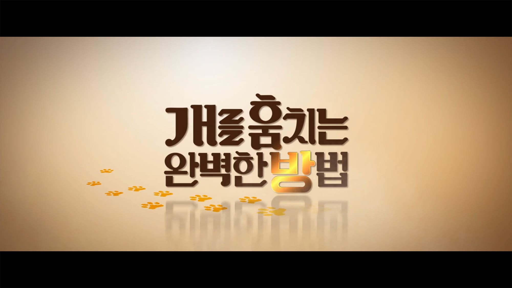 犬どろぼう完全計画 개를 훔치는 완벽한 방법 How to Steal a Dog