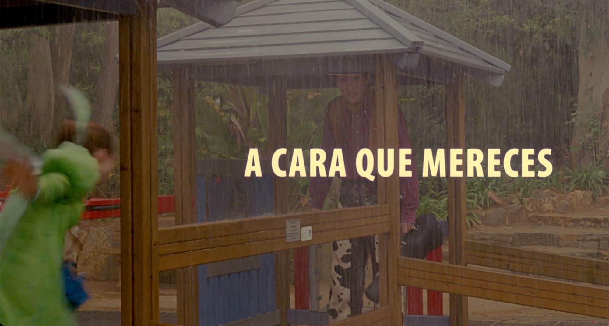 自分に見合った顔 A Cara que Mereces The Face You Deserve