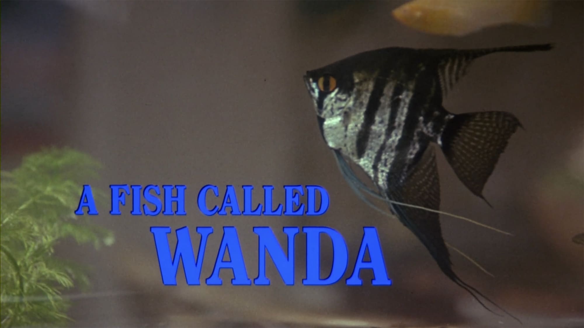 ワンダとダイヤと優しい奴ら A Fish Called Wanda