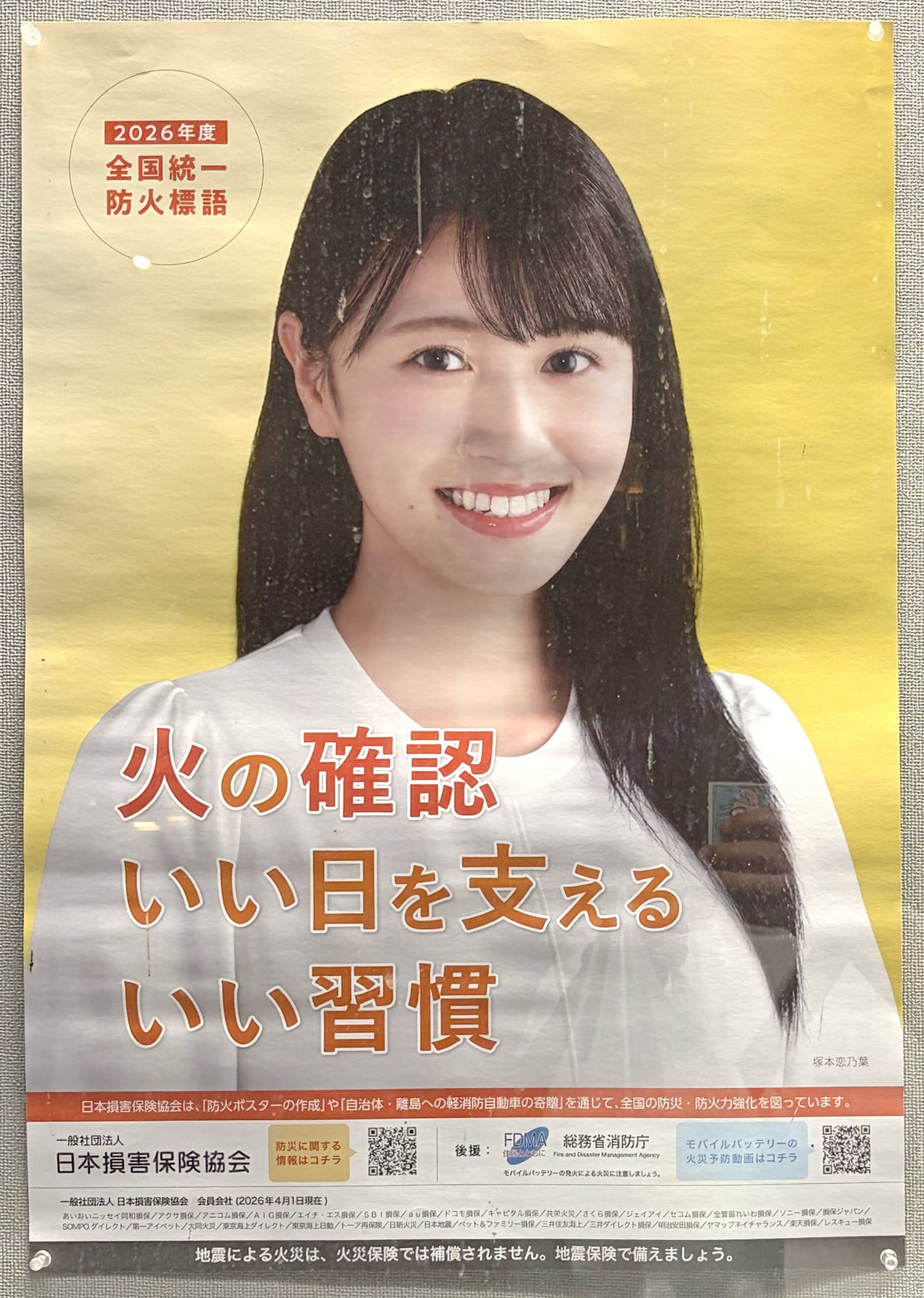 塚本恋乃葉 日本損害保険協会